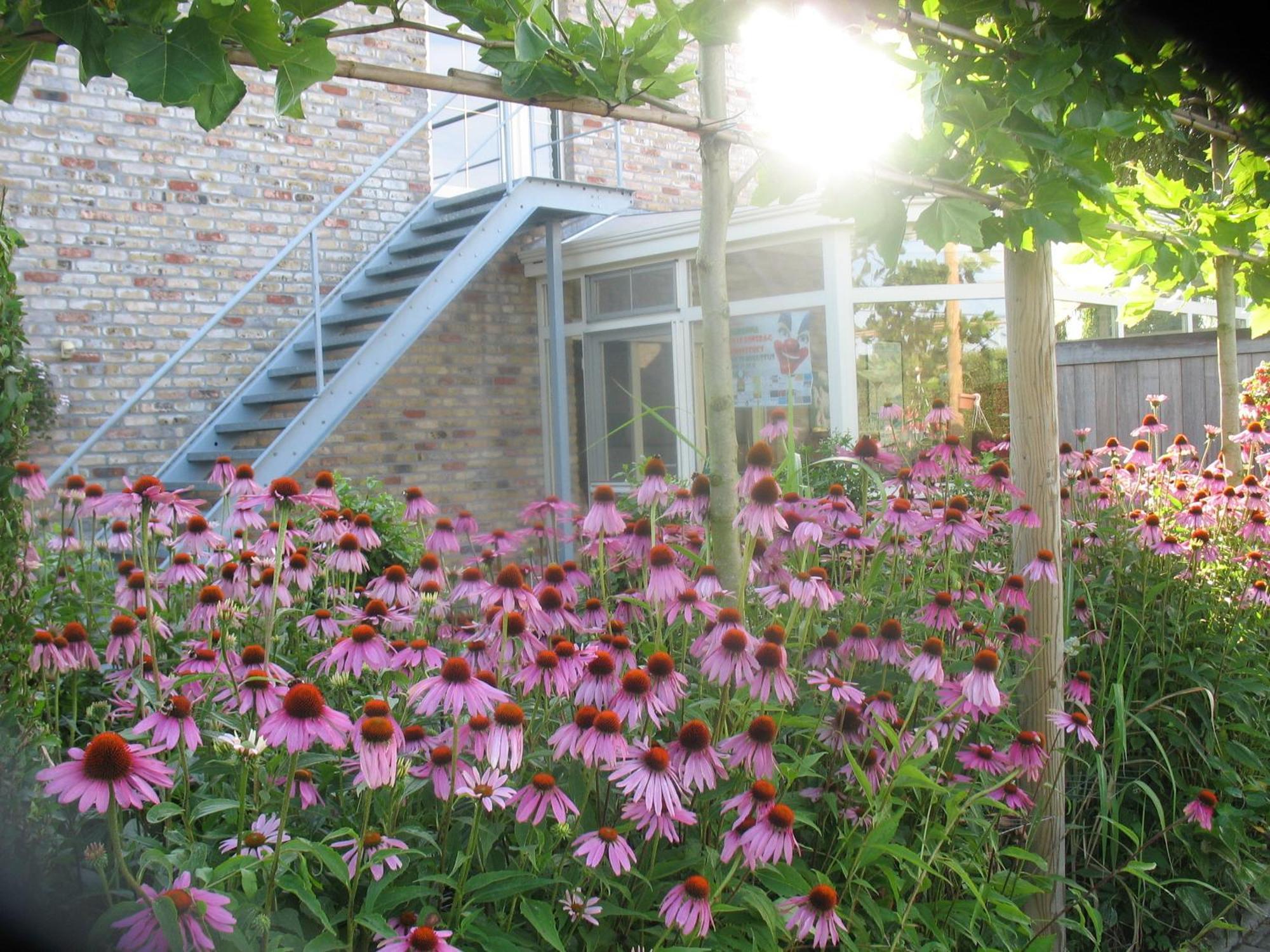 B&B Greenhouse 37 Langemark Exterior foto