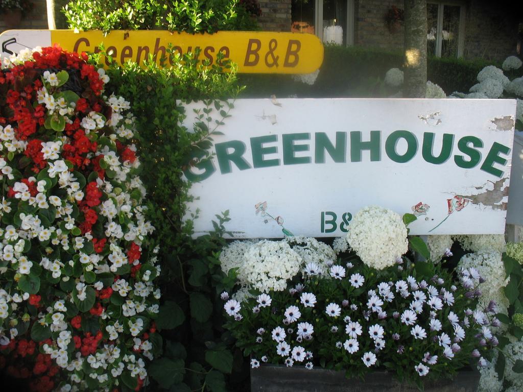 B&B Greenhouse 37 Langemark Exterior foto