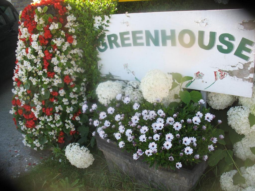 B&B Greenhouse 37 Langemark Exterior foto